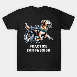 Inspirational Dog T-Shirt, Practice Compassion, Wheelchair Dog Tee, Animal Lover Gift Shirt, Pet Advocacy apparel T-Shirt